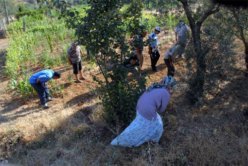 Bayram tatili değil sanki savaşa gittik - Resim: 4