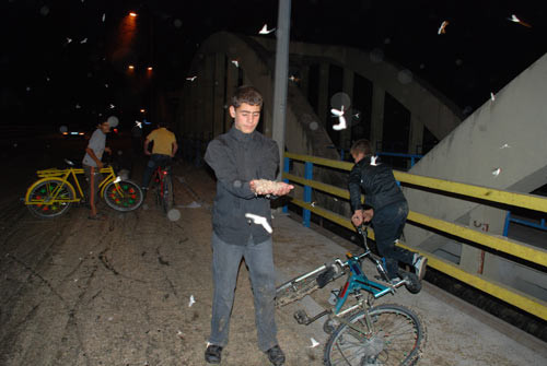 Kelebeklerin ölüm dansı - Resim: 2