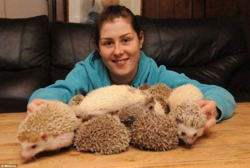 İşte herkesin güldüğü fotoğraflar - Resim: 1