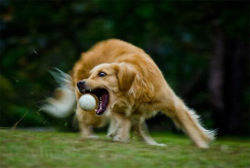 En çok tıklanan fotoğraf kareleri! - Resim: 3