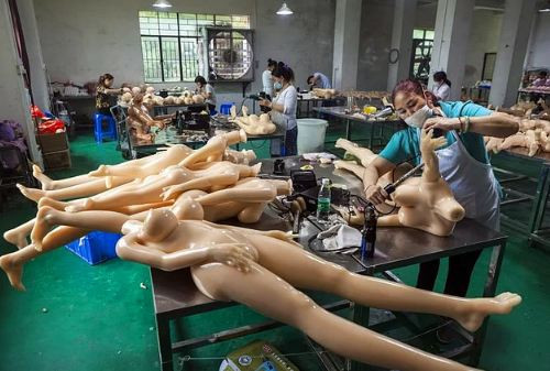 Fabrikadan yatak odasına cinsel ilişki robotlarının ürkütücü serüveni - Resim: 4