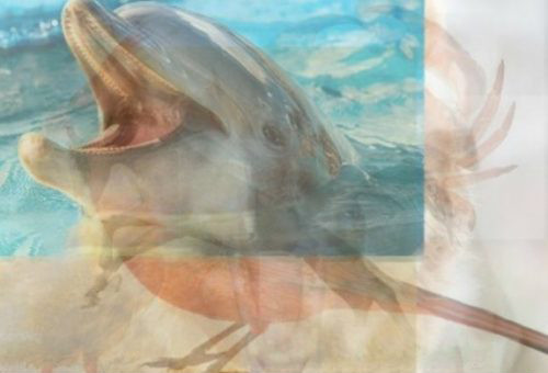 Resimde gördüğünüz ilk hayvan kişiliğinizi ortaya çıkarıyor - Resim: 4