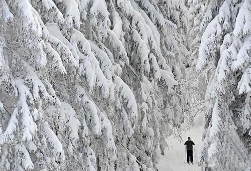 Bu soğuklar bize gelir mi? - Resim: 2