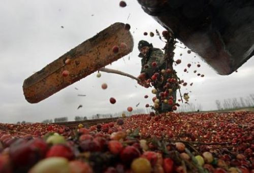 Günün komik fotoğrafları - Resim: 3