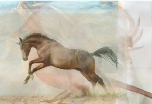 Resimde gördüğünüz ilk hayvan kişiliğinizi ortaya çıkarıyor - Resim: 2