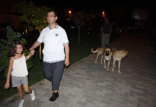 Başıboş köpekler tatilcileri bıktırdı - Resim: 3