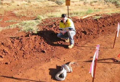 Yılan'ın ziyafet anı - Resim: 3