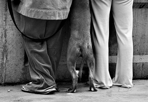 İnternetin en çılgın fotoğrafları - Resim: 3