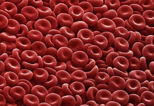 Vücudumuzdan 15 muhteşem görüntü - Resim: 4