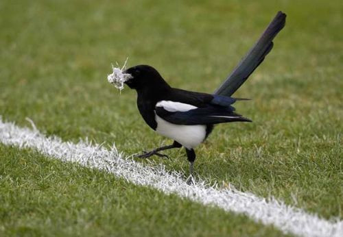 Bu pozisyonlara siz ne anlam verirsiniz? - Resim: 3