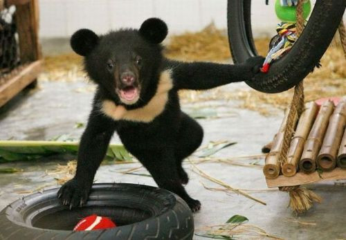 Bu durumları açıklamak oldukça zor! - Resim: 2
