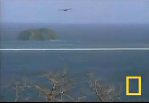 Kartal saniye saniye avını böyle yakaladı - Resim: 4