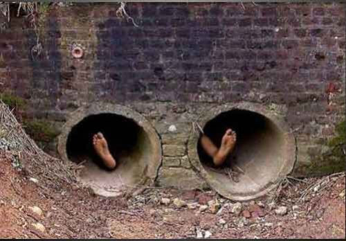 Şaşkına çeviren fotoğraflar - Resim: 1