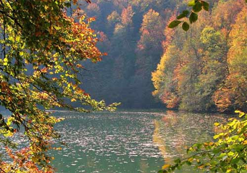 İşte sonbaharın tüm renkleri - Resim: 1