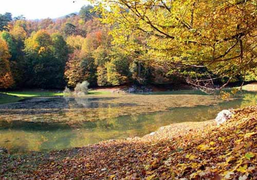 İşte sonbaharın tüm renkleri - Resim: 2