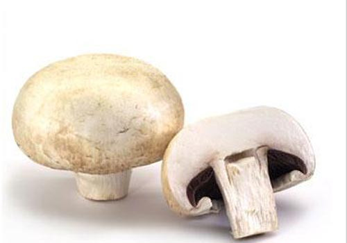 Mantar zehirlenmelerine dikkat! - Resim: 3