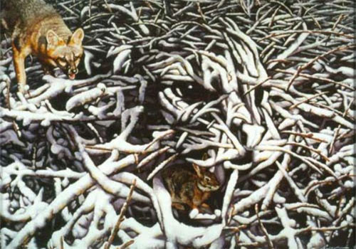 Gizemli tablolar - Resim: 2