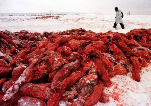 Bu fotoğrafları mutlaka görmelisiniz! - Resim: 1