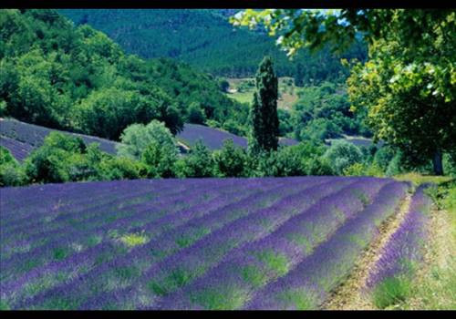 Kadınlar için en iyi 20 ülke - Resim: 4