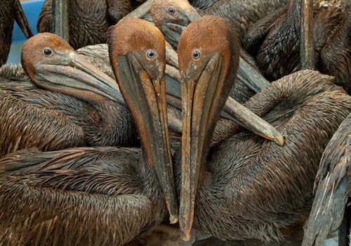 Dünya felaketi böyle yaşadı - Resim: 2