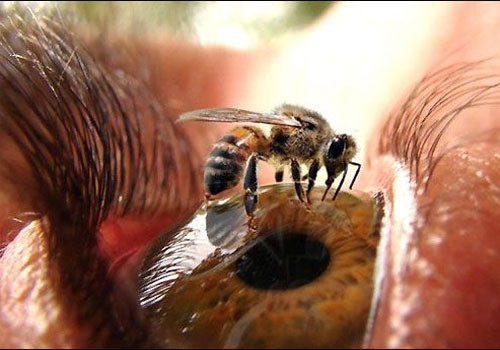 Günün en ilginç kareleri - Resim: 4