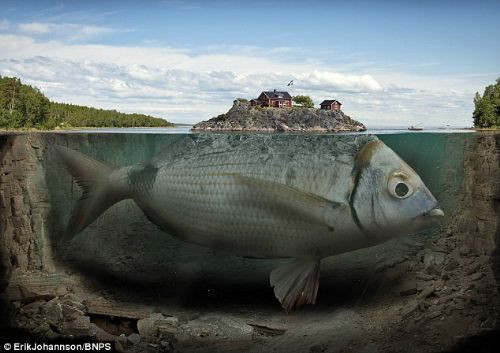 Akıl karıştıran fotoğraflar - Resim: 3