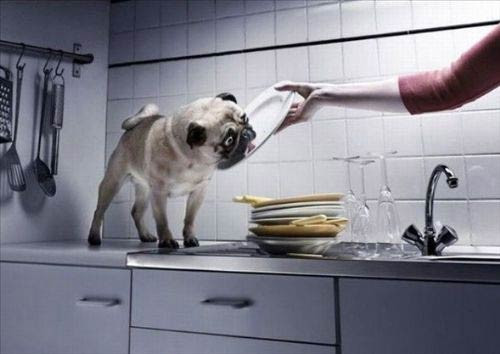 Gülme krizine sokan fotoğraflar! - Resim: 3