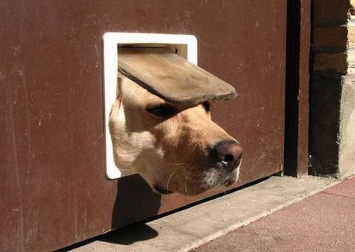 İnternette tıklanma rekoru kıran kareler - Resim: 2