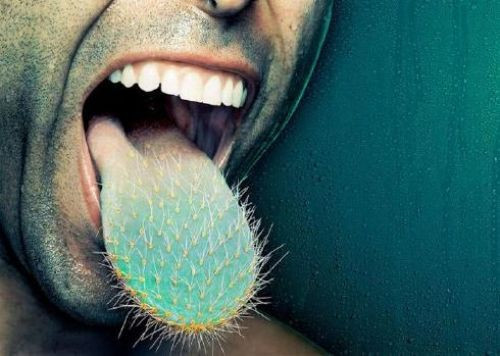  Günün en komik fotoğrafları  - Resim: 2