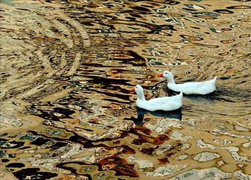 Suya düşen yansımalar büyülüyor - Resim: 3