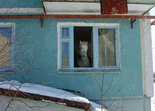 Karadeniz fıkrasını aratmayan kareler! - Resim: 4