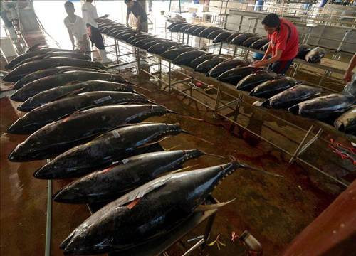 Dünyanın en sıcak fotoğrafları - Resim: 3