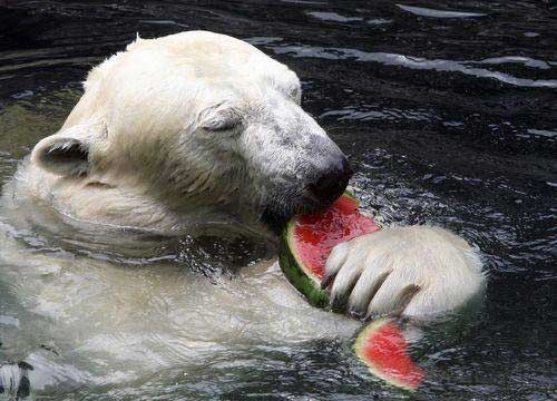 Hiç görülmemiş fotoğraflar - Resim: 4