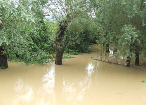 Çarşamba'yı sel aldı! - Resim: 1