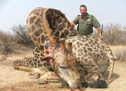 10.000 sterline zürafa avı! - Resim: 4