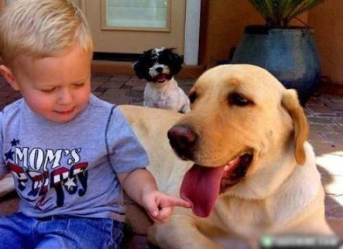 Birbirinden ilginç fotoğraf kazaları! - Resim: 1