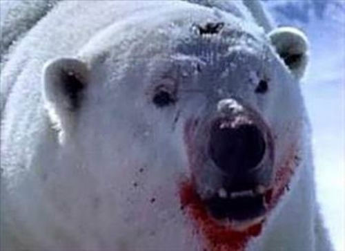 İşte dünya'nın ''en''leri - Resim: 1