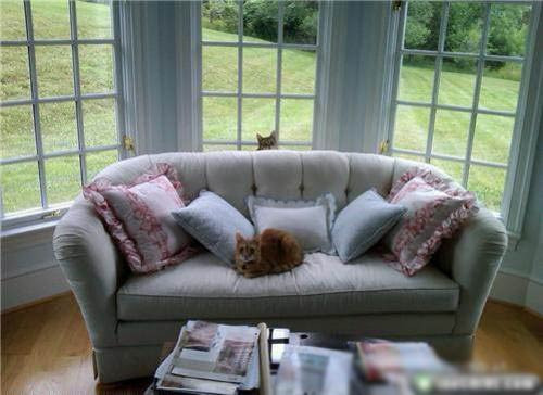 Birbirinden ilginç fotoğraf kazaları! - Resim: 4