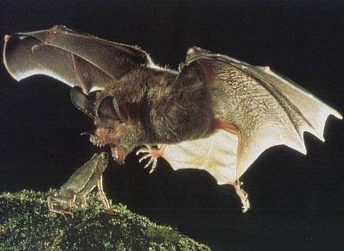 Anlık fotoğraflar - Resim: 2