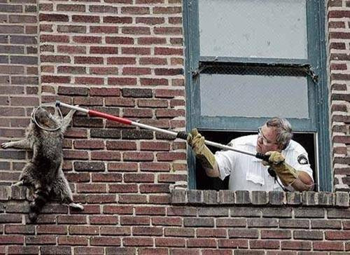 An'lık fotoğraflar - Resim: 3