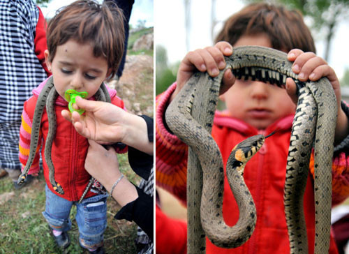 Bu yılanlar her derde deva - Resim: 4