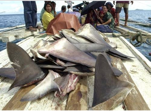 Günün en çok paylaşılan fotoğrafları - Resim: 2