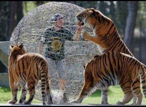 Bu kadarına da pes diyeceksiniz! - Resim: 4