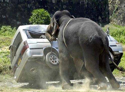 An'lık fotoğraflar - Resim: 2