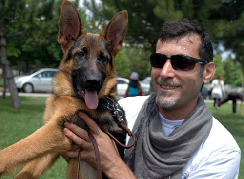 Başkentte Alman çoban köpekleri yarıştı - Resim: 1