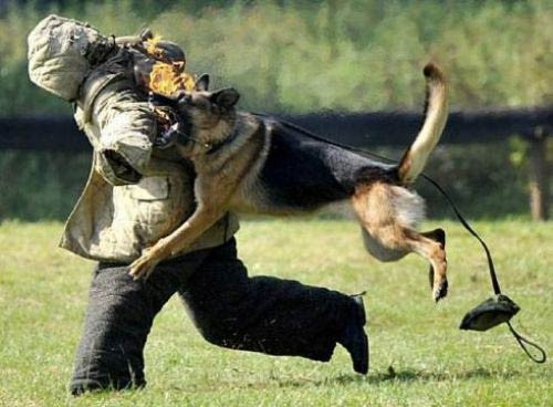 İzlerken şaşıracağınız fotoğraflar - Resim: 4