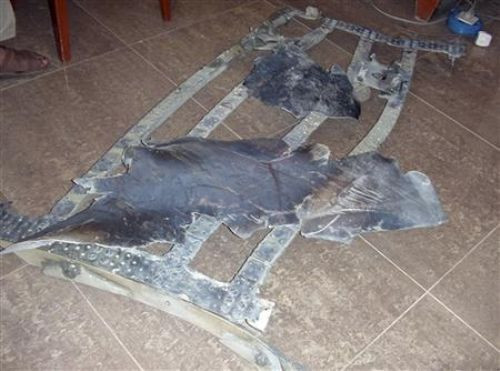 UFO infilak etti! - Resim: 4