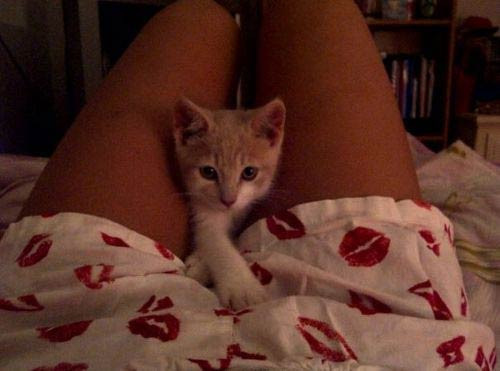 Bugünün en çok tıklanan fotoğrafları! - Resim: 3