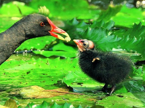 "Onlar" ın hayatını hiç bu şekilde gördünüz mü? - Resim: 3