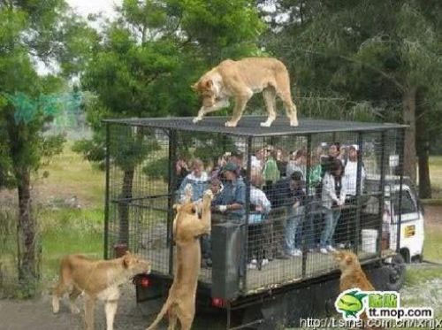 Günün en garip kareleri - Resim: 14